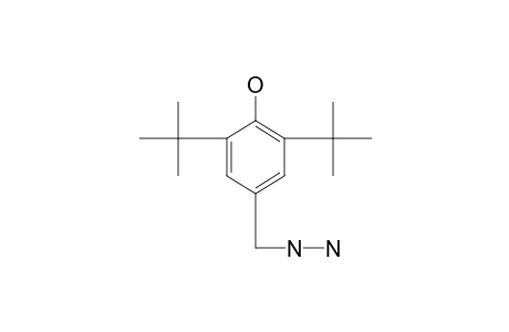 2,6-di-tert-4-(hydrazinomethyl)phenol