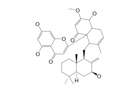 DICHROSTACHINE_O