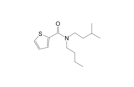 Thiophene-2-carboxamide, N-butyl-N-(3-methylbutyl)-