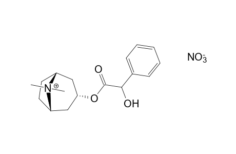 3alpha-hydroxy-8-methyl-1alphaH,5alphaH-tropanium nitrate, mandelate (ester)