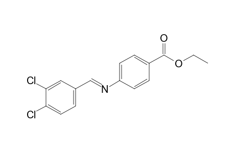 p-[(3,4-dichlorobenzylidene)amino]benzoic acid, ethyl ester