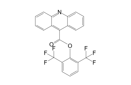 2,6-bis(trifluoromethyl)phenyl acridine-9-carboxylate