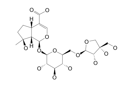 6-O-BETA-D-APPIOFURANOSYL-MUSSAENOSIDIC-ACID