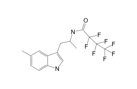 5-me-amt hfb P1375