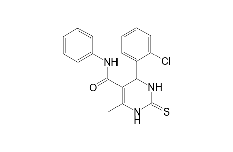 1,2,3,4-Tetrahydro-6-methyl-4-(2-chlorophenyl)-2-thio-oxo-N-phenylpyrimidine-5-carboxamide