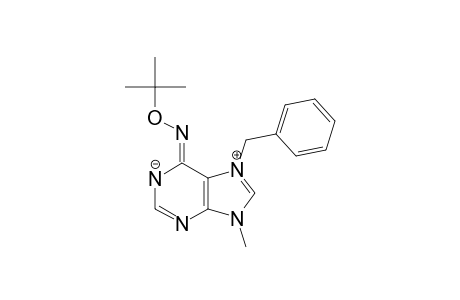 7-BENZYL-6-TERT.-BUTOXYAMINO-9-METHYL7-H-PURINIUM