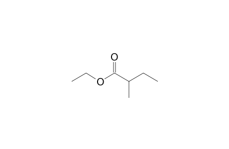 Ethyl 2-methylbutyrate