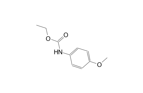 p-methoxycarbanilic acid, ethyl ester