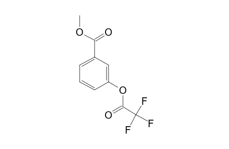 Methyl 3-trifluoroacetyloxybenzoate