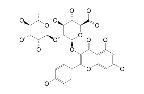 KAEMPFEROL-3-O-BETA-(2''-ALPHA-RHAMNOPYRANOSYL)-BETA-GLUCURONOPYRANOSIDE