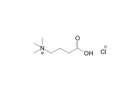 (3-Carboxypropyl)trimethylammonium chloride