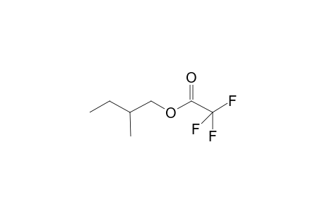 1-Butanol, 2-methyl-, trifluoroacetate