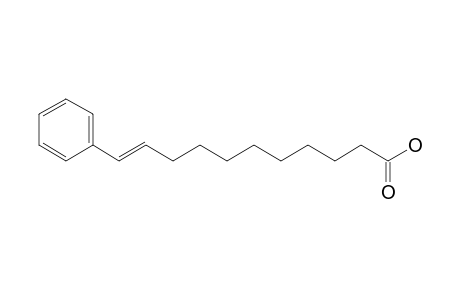 (E)-11-Phenyl-10-undecenoic acid