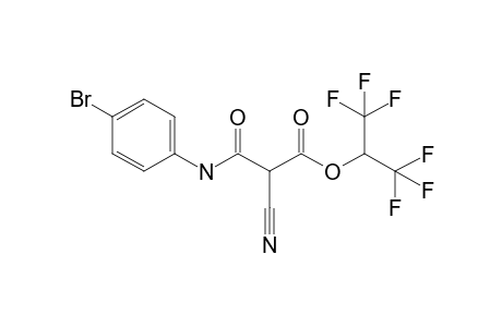 3-[(4-bromophenyl)amino]-2-cyano-3-keto-propionic acid [2,2,2-trifluoro-1-(trifluoromethyl)ethyl] ester