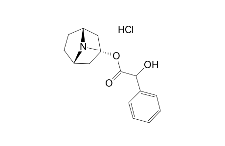 Homatropine, hydrochloride
