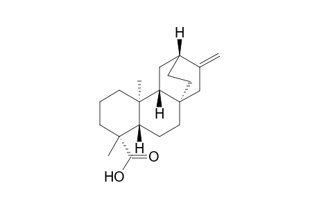 ent-Atis-16-en-19-oic Acid