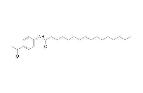 4'-acetylhexadecanilide