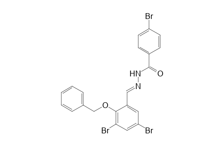 4-Bromobenzenamide, N-(2-benzyloxy-3,5-dibromobenzylidenamino)-