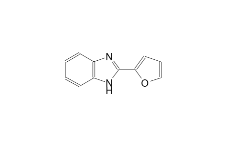 2-(2'-FURYL)-BENZIMIDAZOLE