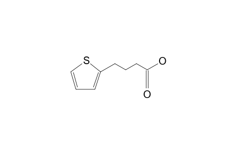 2-Thiophenebutyric acid