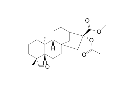 ANNOGLABASIN-D;16-ALPHA-ACETOXY-ENT-KAURAN-19-AL-17-METHYLESTER
