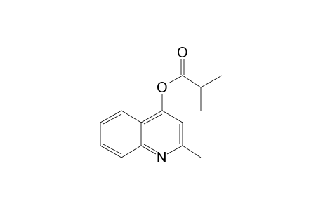 2-Methyl-4-hydroxyquinoline, 2-methylpropionate