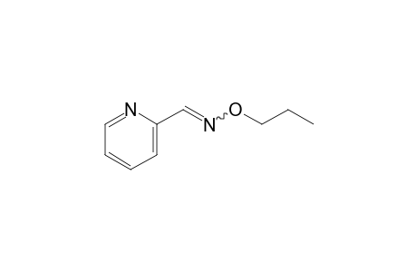 picolinaldehyde, O-propyloxime