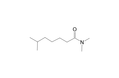 Isooctanamide, N,N-dimethyl-