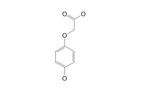 4-Hydroxyphenoxyacetic acid