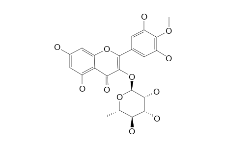 MEARNSETIN-3-O-ALPHA-L-RHAMNOPYRANOSIDE