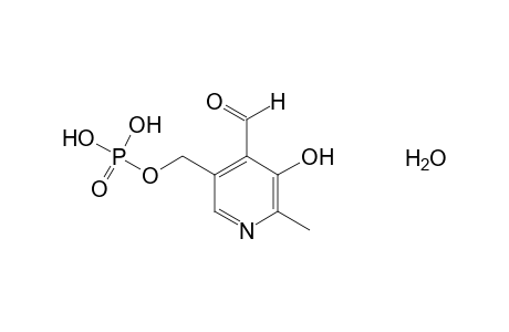 Pyridoxal 5-phosphate, monohydrate