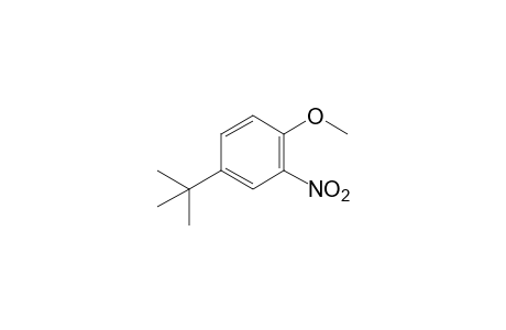 4-Tert-butyl-2-nitroanisole