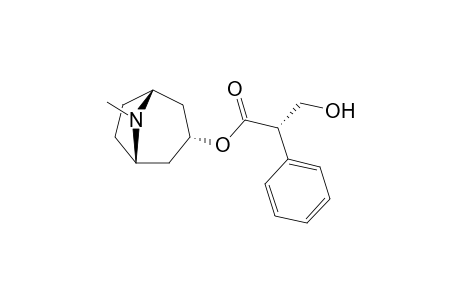 Hyoscyamine
