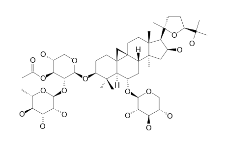 ASTRASIEVERSIANIN-IX;3-O-[ALPHA-L-RHAMNOPYRANOSYL-(1->2)-BETA-(3'-O-ACETYL)-D-XYLOPYRANOSYL]-6-O-BETA-D-XYLOPYRANOSYL-20(R),24(S)-EPOXYCYCLOARTANE-