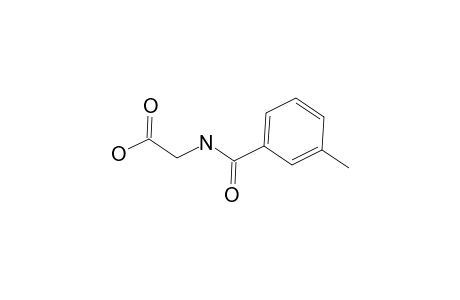 m-methylhippuric acid
