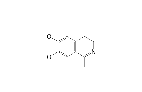 6,7-Dimethoxy-1-methyl-3,4-dihydroisoquinoline