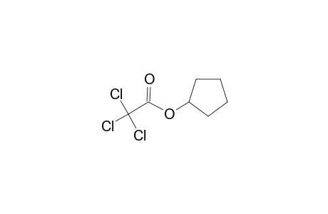 Trichloroacetic acid, cyclopentyl ester