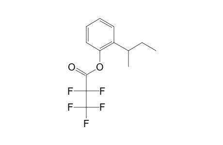 2-sec-Butylphenol, o-pentafluoropropionyl-