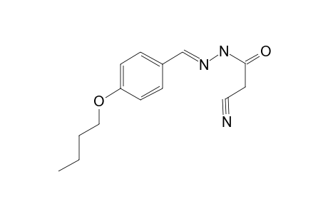 Propionitrile, 3-(4-butoxybenzylidenhydrazino)-3-oxo-