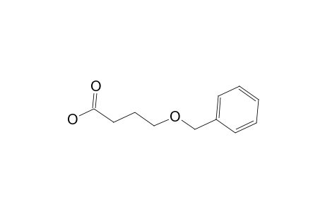 Butanoic acid, 4-(phenylmethoxy)-