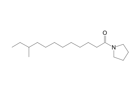 10-Methyl-dodecanoic acid, pyrrolidide