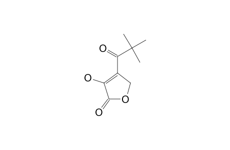 4-(2,2-DIMETHYLPROPANOYL)-3-HYDROXY-2(5H)-FURANONE