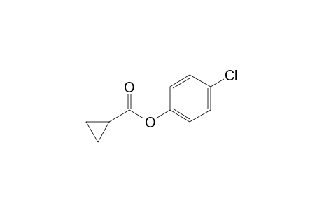 Cyclopropanecarboxylic acid, 4-chlorophenyl ester