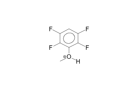 2,3,5,6-TETRAFLUOROANISOLE, PROTONATED