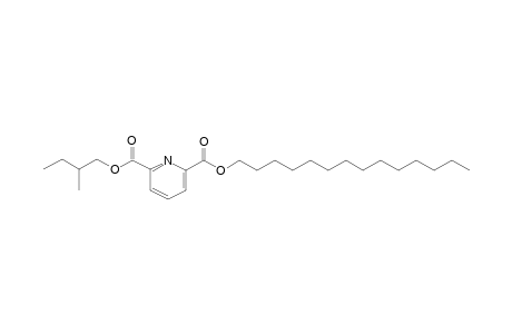 2,6-Pyridinedicarboxylic acid, 2-methylbutyl tetradecyl ester