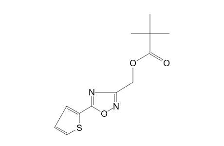 5-(2-thienyl)-1,2,4-oxadiazole-3-methanol, pivalate (ester)