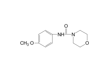 4-morpholinecarbox-p-anisidide