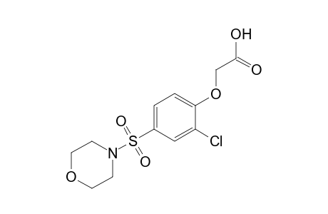 [2-CHLORO-4-(MORPHOLINOSULFONYL)PHENOXY]ACETIC ACID