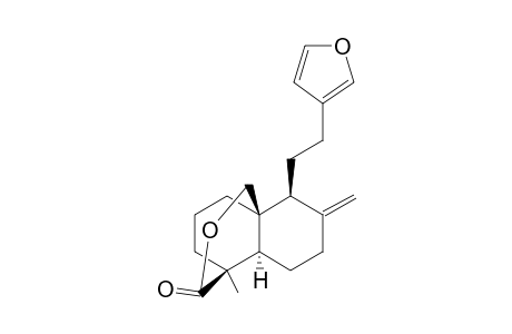 15,16-epoxy-17-hydroxylabda-8(20), 13(16), 14-trien-19-oic acid, delta-lactone