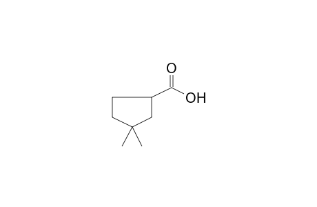 Cyclopentanecarboxylic acid, 3,3-dimethyl-